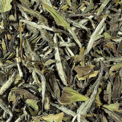 China Pai Mu Tan BIO