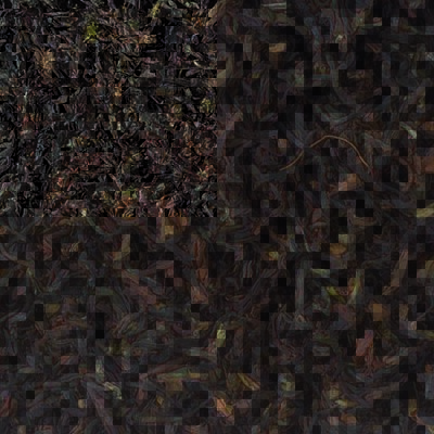 Lose Darjeeling-Teeblätter mit mittelkräftigem Blatt und bronzefarbener Tasse aus Second Flush-Mischung